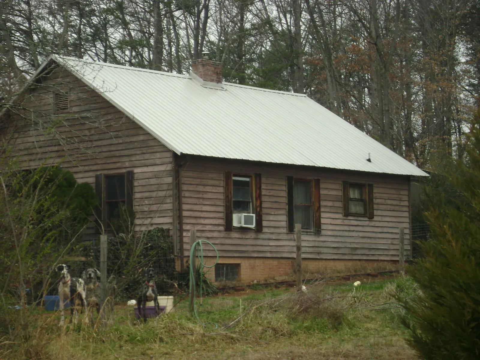 White metal roof on an old wood sided farmhouse, from a Asphalt Shingle Roof Repair job in Bondsville